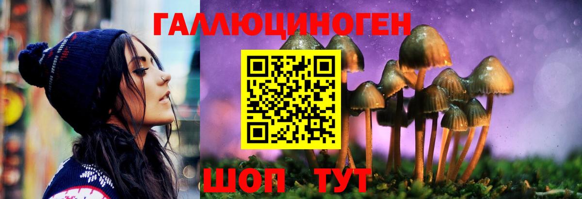Псилоцибиновые грибы Psilocybe  Вход с VPN  Сергиев Посад 